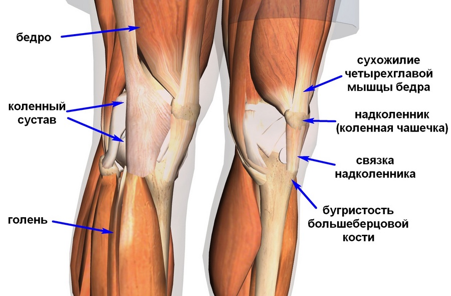 Почему болит нога под коленом