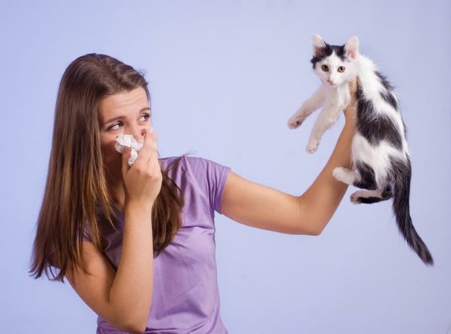 Как вылечить аллергию дома