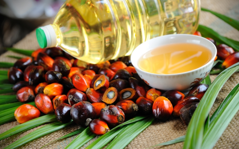 Пальмовое масло - вред или польза