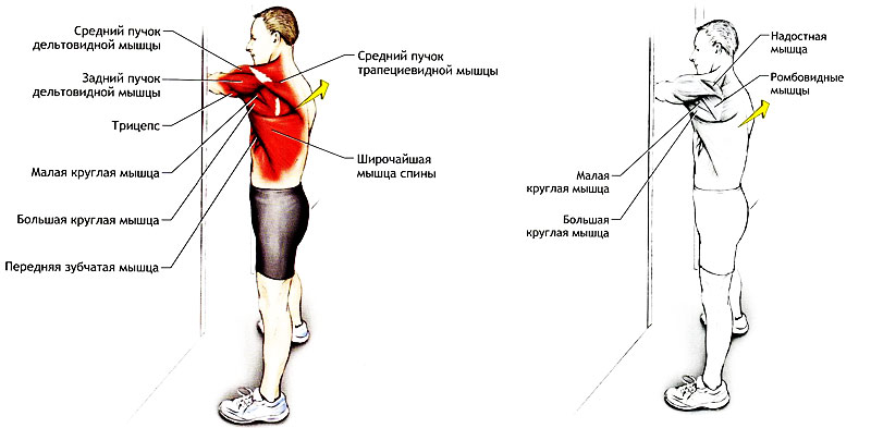 Что делать, если болят мышцы спины: возможные причины и лечение