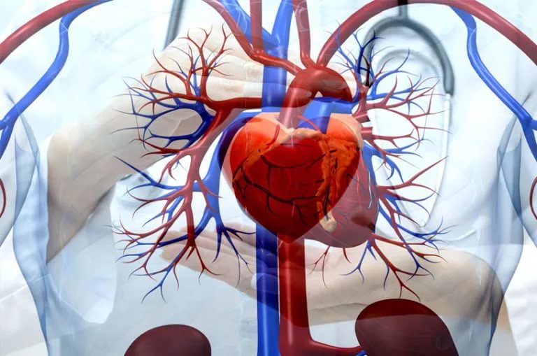 ИБС: атеросклеротический кардиосклероз