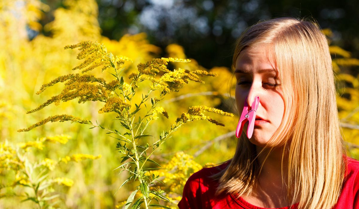 Поллиноз – аллергия на пыльцу: симптомы, диагностика и лечение, профилактика и диета